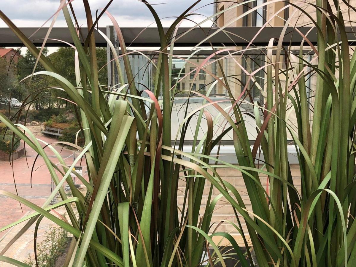 Loft Froenskip - Nordsee Park דנגסט מראה חיצוני תמונה